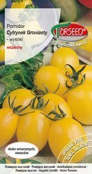 Pomidor wysoki Cytrynek Groniasty – typ cherry 0,1g